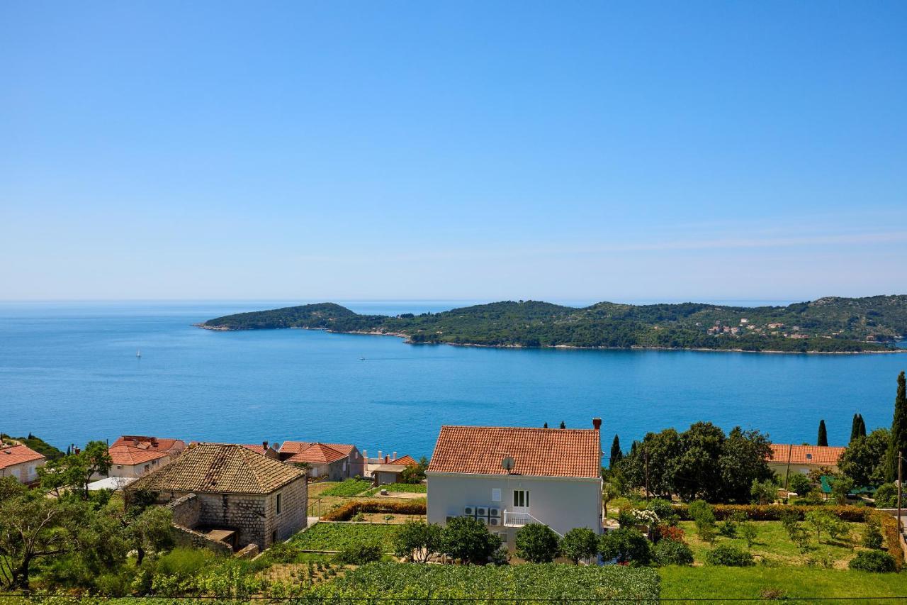 Helton Seaview Apartments Orašac Zewnętrze zdjęcie